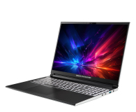 Dream Machines 16PL28 Ryzen AI 9-HX 370/32GB/2TB/Win11PX 240Hz - 1575829 - zdjęcie 5
